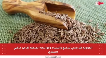 الكراوية كنز صحي للرضع والنساء وفوائدها المذهلة تفاجئ مرضى السكري